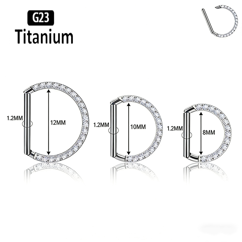 G23 Titanium Hinged Segment No - Rook Curved Barbell ulasan dan harga